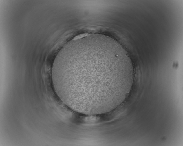 X0000112510225200908311340