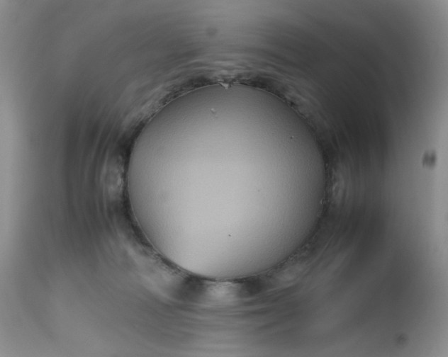 X0000112510226200908311340