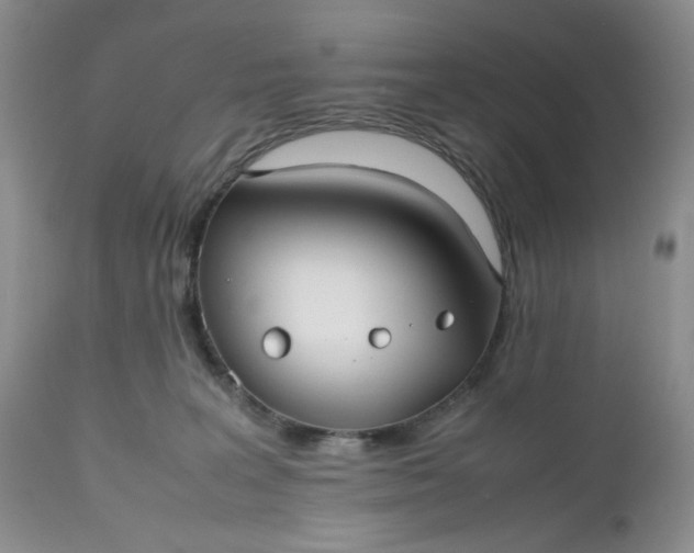 X0000112510227200908311340