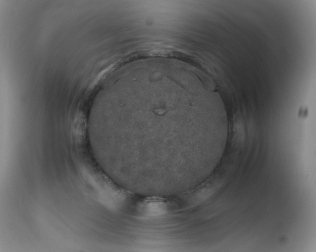 X0000112510228200908311340