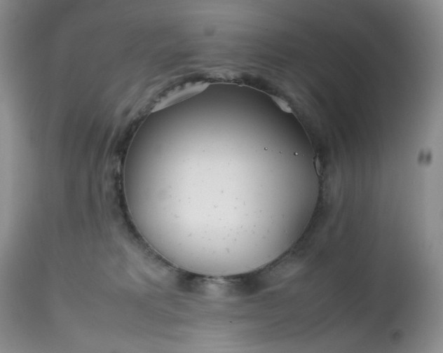 X0000112510229200908311340