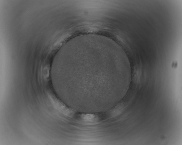 X0000112510230200908311340