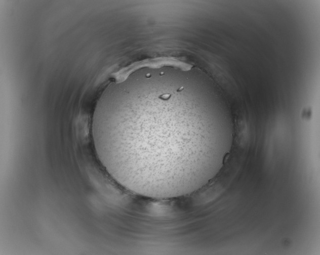 X0000112510232200908311340