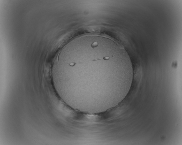 X0000112510233200908311340