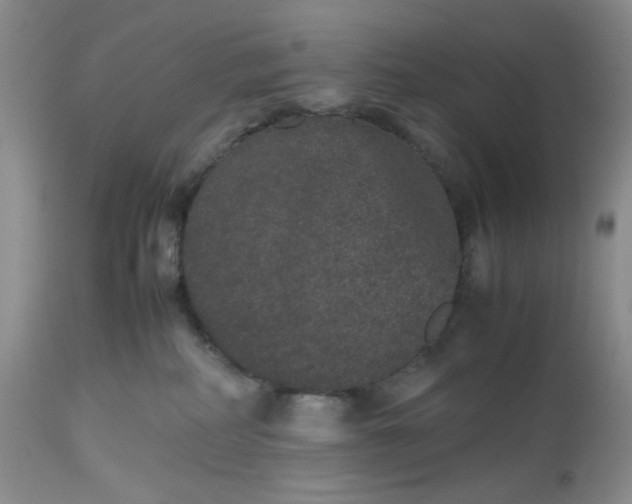 X0000112510234200908311340