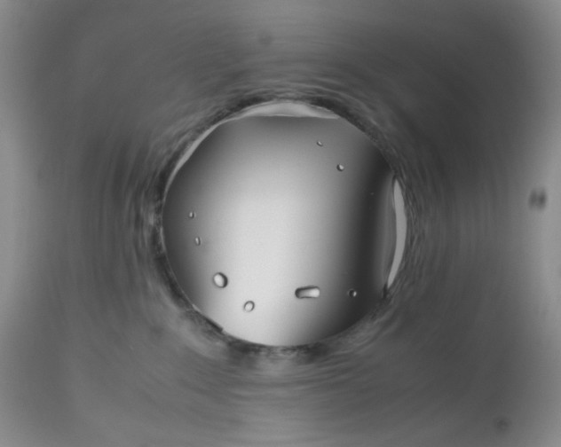 X0000112510235200908311340