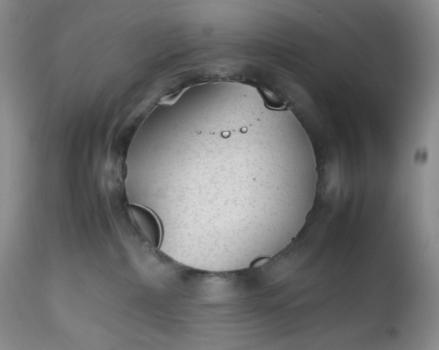 X0000112510236200908311340