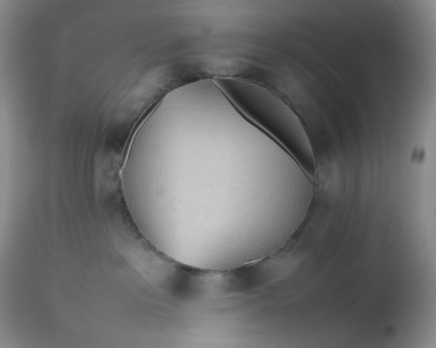 X0000112510237200908311340