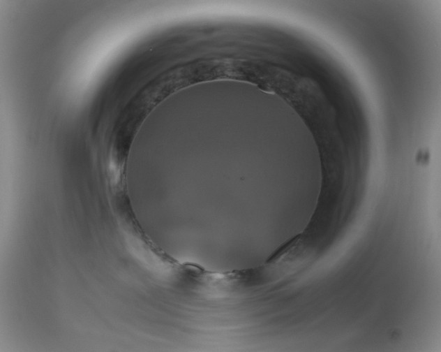 X0000112510239200908311340