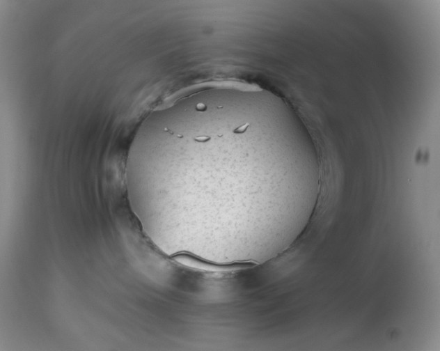 X0000112510240200908311340