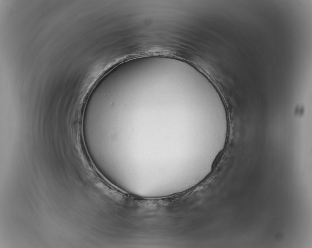 X0000112510241200908311339