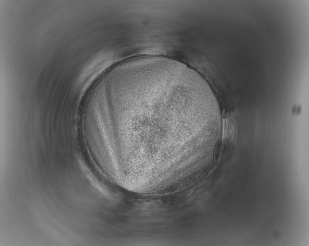 X0000112510243200908311339