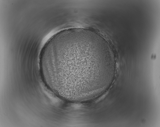 X0000112510246200908311339