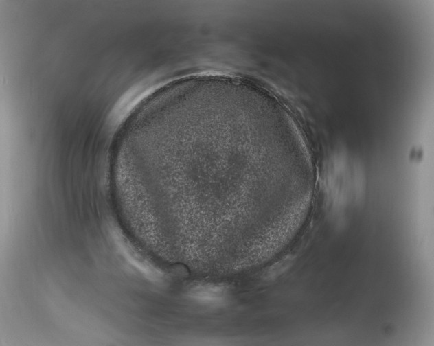 X0000112510247200908311339