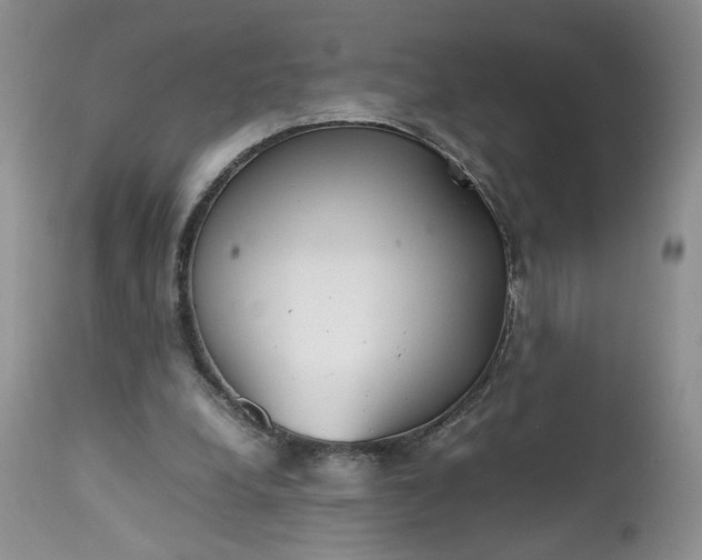 X0000112510248200908311339