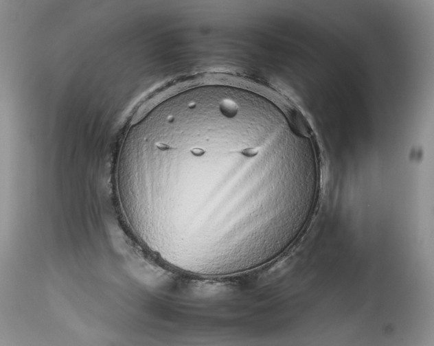 X0000112510249200908311339