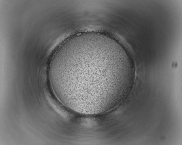 X0000112510250200908311339