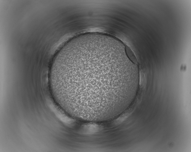 X0000112510253200908311339