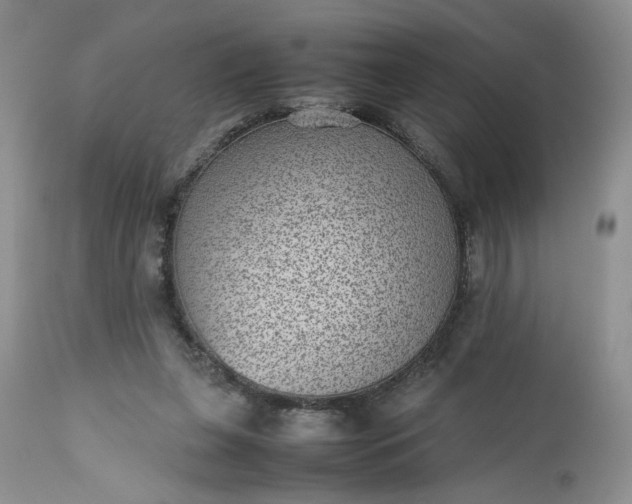 X0000112510255200908311339