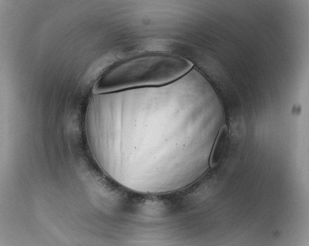 X0000112510256200908311339