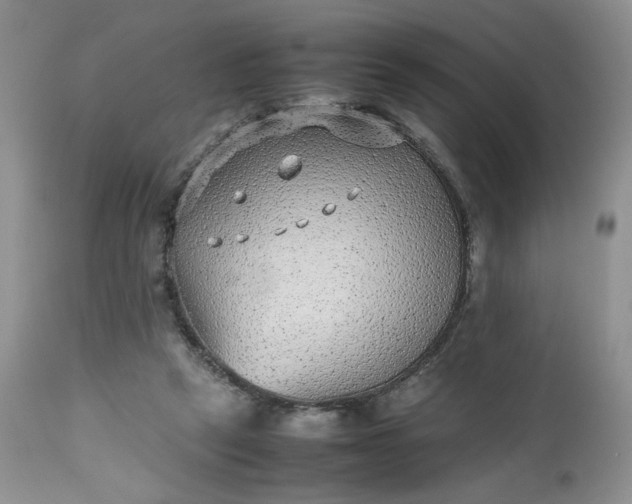 X0000112510257200908311339