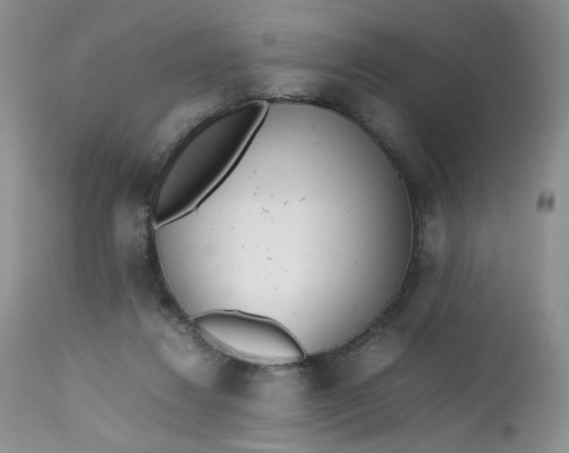 X0000112510260200908311340