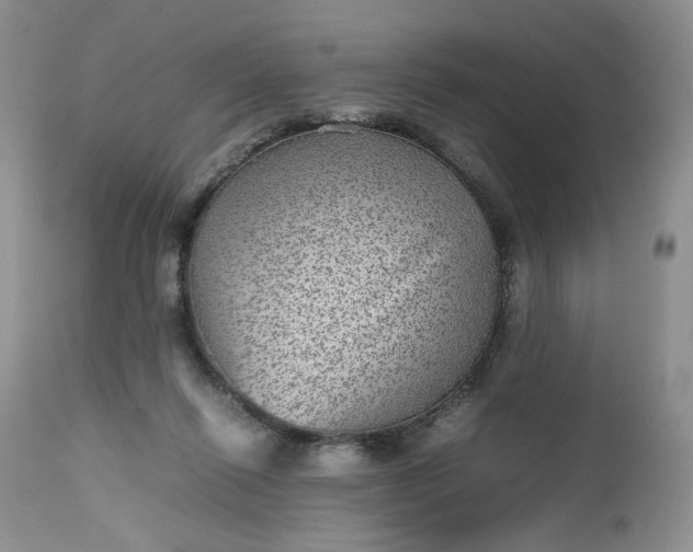 X0000112510262200908311340