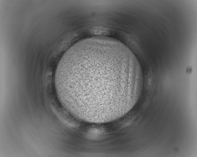 X0000112510263200908311340