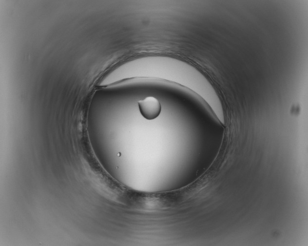 X0000112510264200908311340