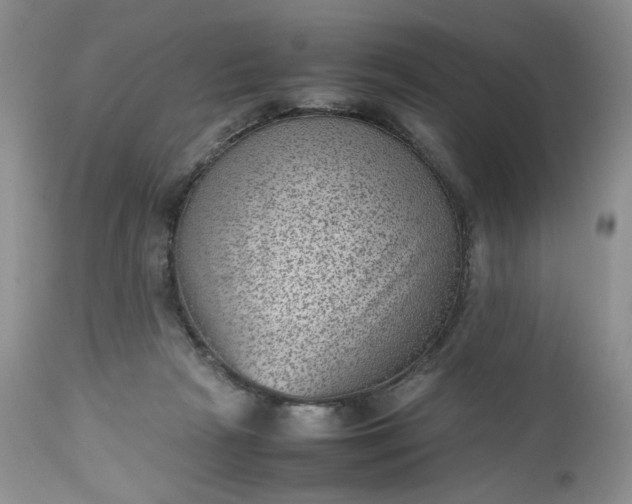 X0000112510265200908311340