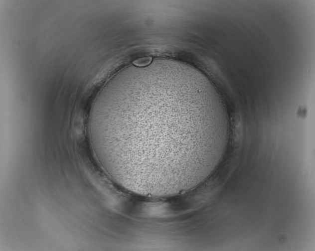 X0000112510266200908311340