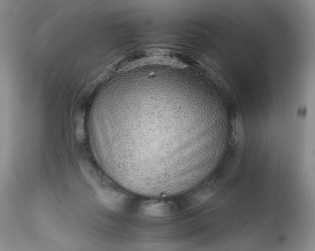 X0000112510267200908311340