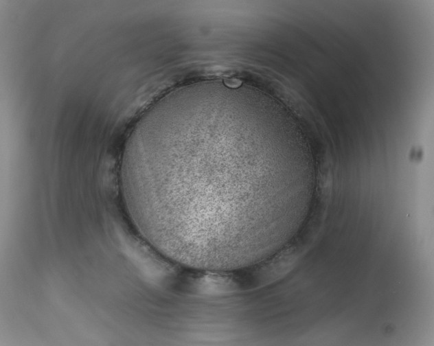 X0000112510270200908311340