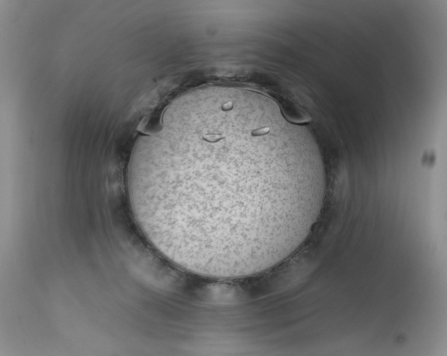 X0000112510272200908311340