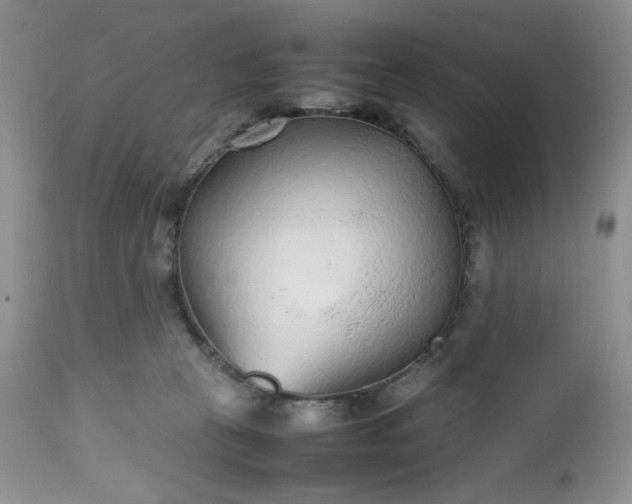 X0000112510273200908311340