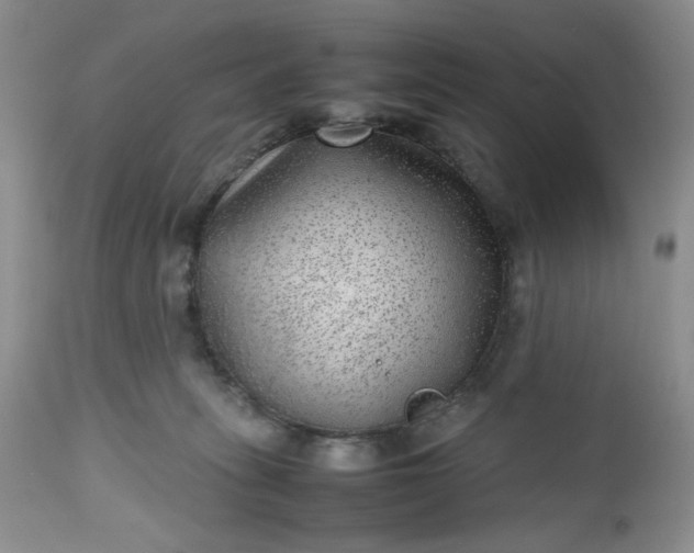 X0000112510275200908311340