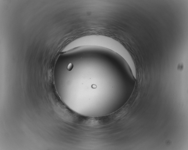 X0000112510276200908311340