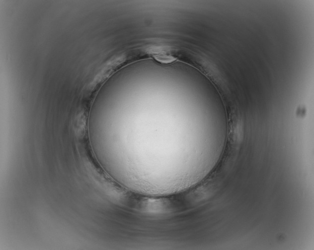 X0000112510277200908311340