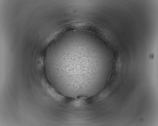 X0000112510278200908311340