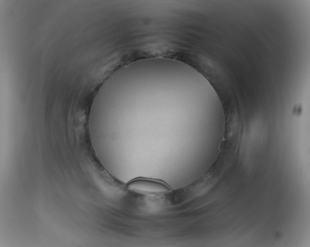 X0000112510279200908311340