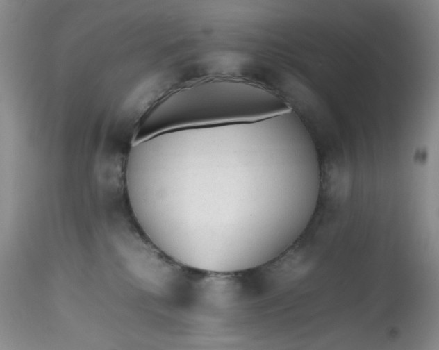 X0000112510280200908311340