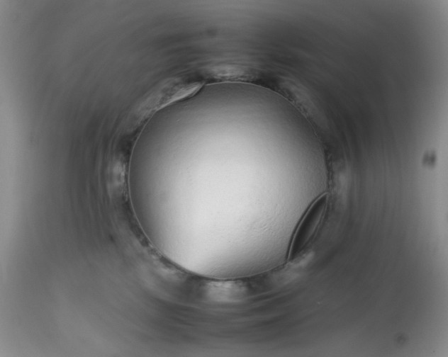 X0000112510281200908311340