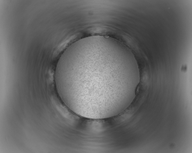 X0000112510282200908311340