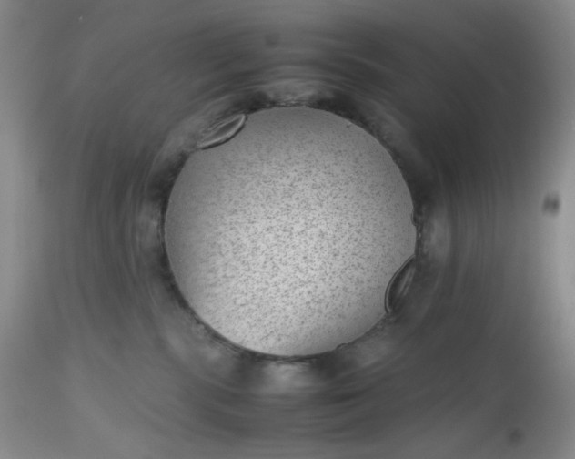 X0000112510283200908311340