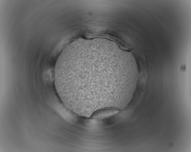 X0000112510286200908311340