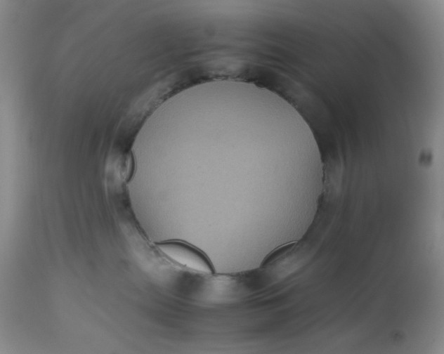 X0000112510287200908311340