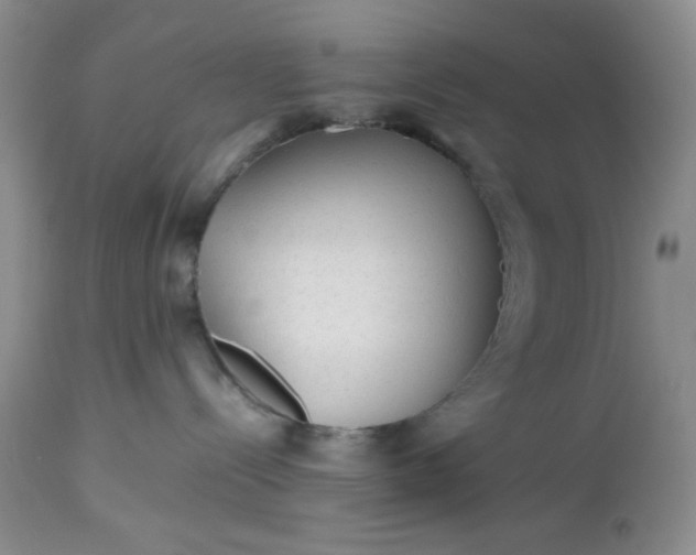 X0000112510288200908311340