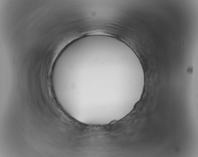 X0000112510289200908311339