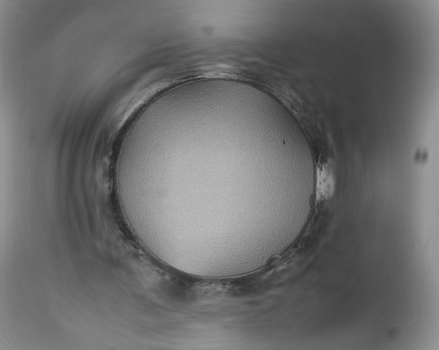 X0000112510291200908311339