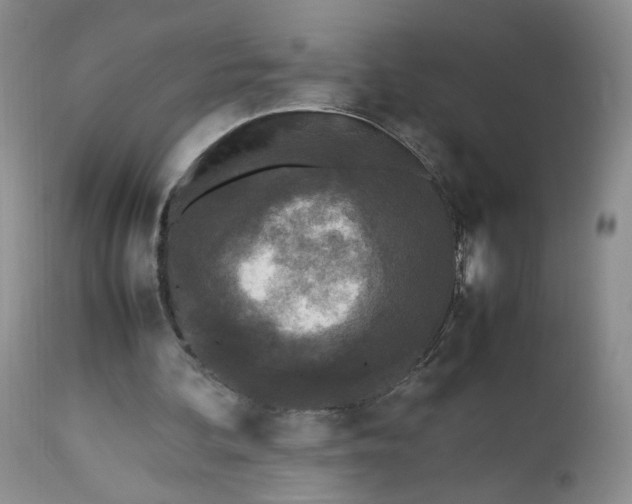 X0000112510292200908311339